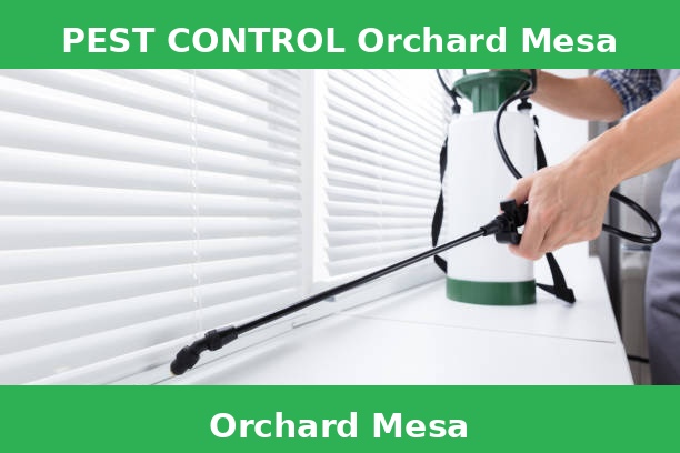 PEST CONTROL Orchard Mesa